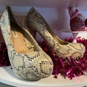 Steve Madden Snake print